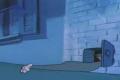 Tom&Jerry 77