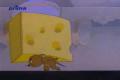 Tom&Jerry 110