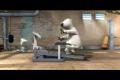 Fitnes