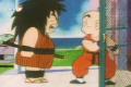 dragonball 8