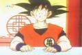 dragonball 11