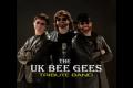 Bee Gees Night Fever