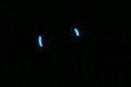 Neffy - led poi