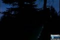 Vlky
