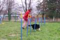 Trénink slalomu a dogdancing
