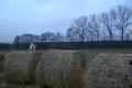 Max skokan roku