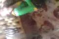 Keby booooloooo nieeeečooo .. XDDD