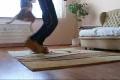 Beagle dog tricks