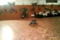 vavrecka break dance 2009