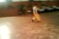 vavrecka  break dance 2009