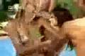 BassHunter-All I Ever Wanted