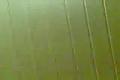 tleskáč - nafoukanej chlapeček
