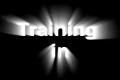 Two Brothers Training