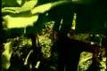 The Prodigy - voodoo people (original)| www.ilegalzone.cz