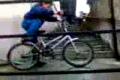 Cejkov-Freestayl