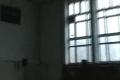 paper wings Zilina