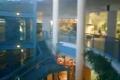 urban ninja