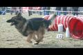 One LIFE-one LOVE...AGILITY