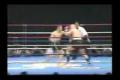 Mirko Cro Cop