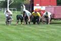 Trening 1.5.2009