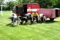 Trening 1.5.2009 2