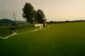Nas trening