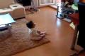gigi listen Laura Pausini