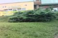 tiregrap