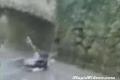 PARKOUR ACCIDENT 4
