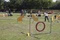 Open Agility - Kamenný Mlyn