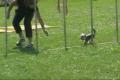 Open Jumping 2 - Jaklovce