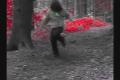 Cagaj - small pieces 2   ..