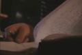 Sum 41 Making of Underclass Hero Part Two