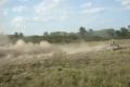 buggy4