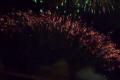 BUDVAR PARTY...ohnostroj...02