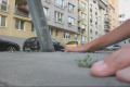 fingerboard in the world 3 wild ride