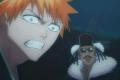 Bleach 10 CZ