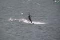 windsurfing Domaša Krym 4.10.2009