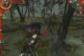Witcher