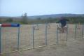 Agility 02