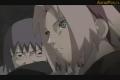 Naruto Shippuuden 20 CZ