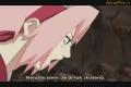 Naruto Shippuuden 24 CZ