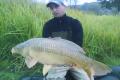carp.