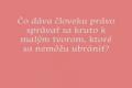 Izuška - mačiatko z priekopy hľadá nový domov