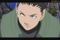 Naruto Shippuuden 83 CZ