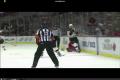 tvrdy hit-nhl