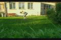 Freestyle football