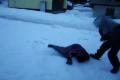 video 5