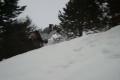 video 7