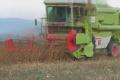 Claas D86
